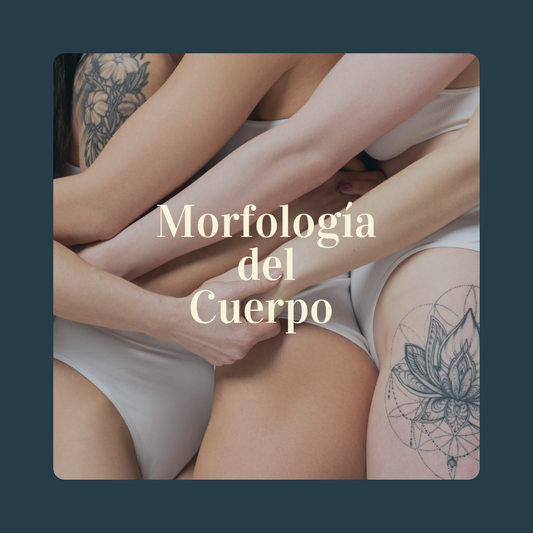 Morfología del Cuerpo